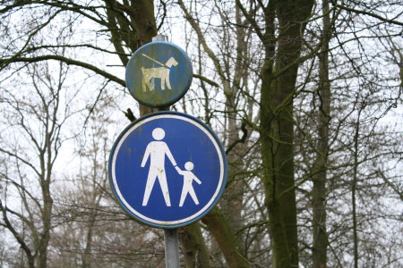 amsterdamse_bos_2009_2_04.jpg
